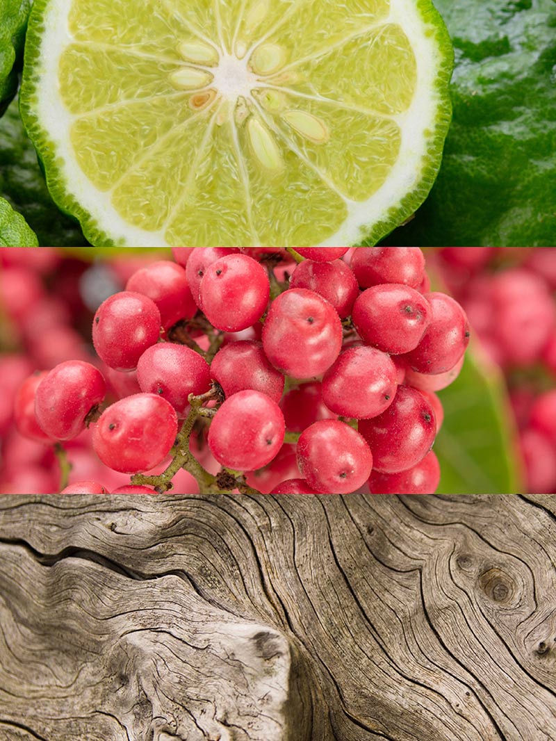 Ydeyma Caribbean perfumy męskie morskie drewno