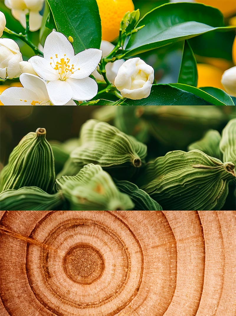 Ydeyma Timeless perfumy męskie korzenne