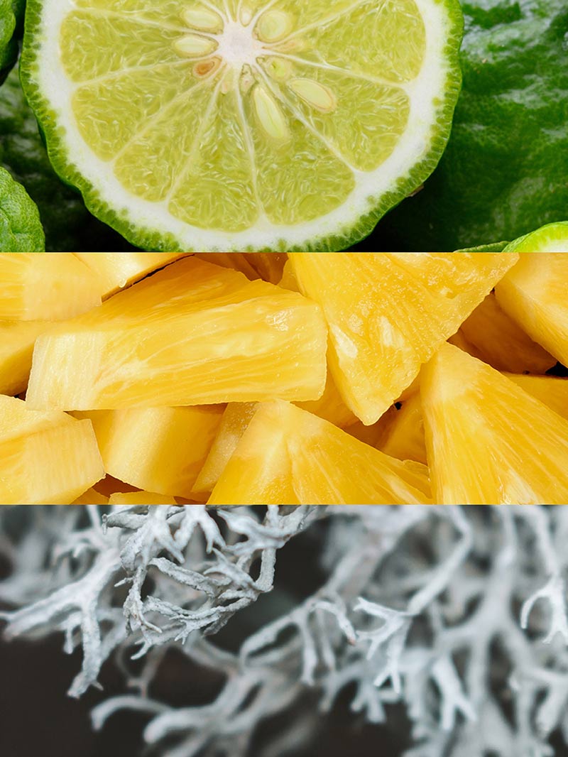 Ydeyma Active Man perfumy męskie ananas i cedr