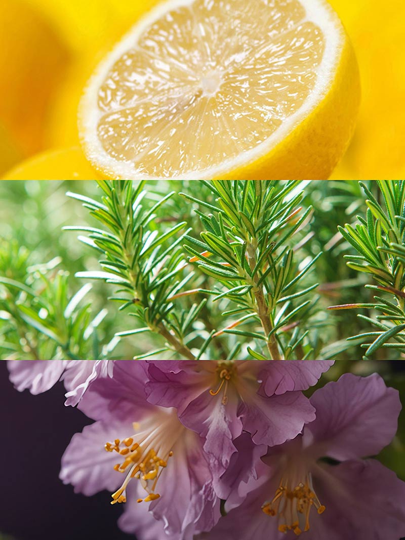 Ydeyma Kara Men perfumy męskie cytryna
