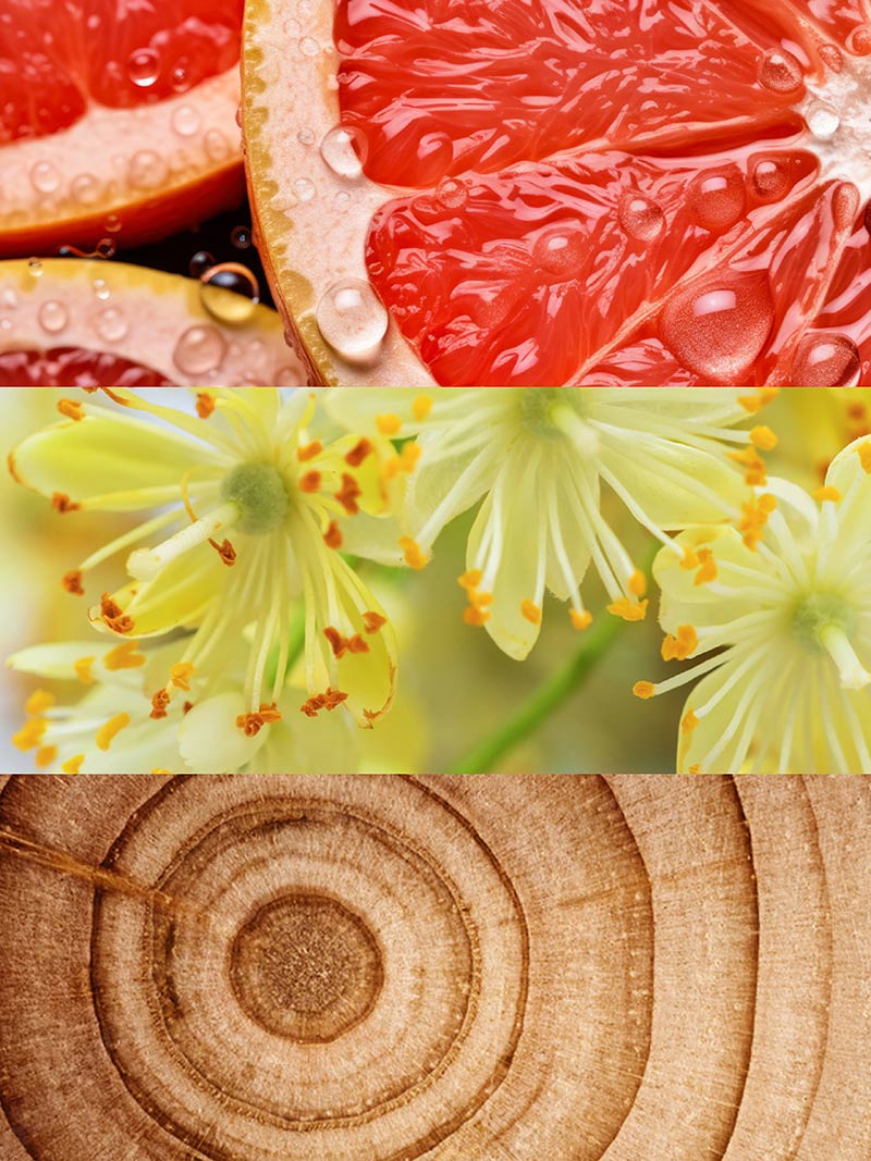 Ydeyma Root perfumy męskie cedrowe