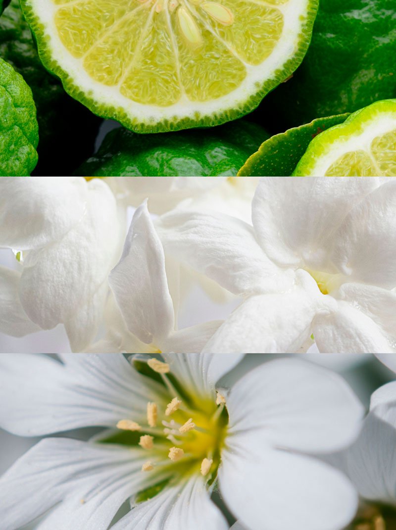 Ydeyma Bella perfumy damskie piwonia piżmo