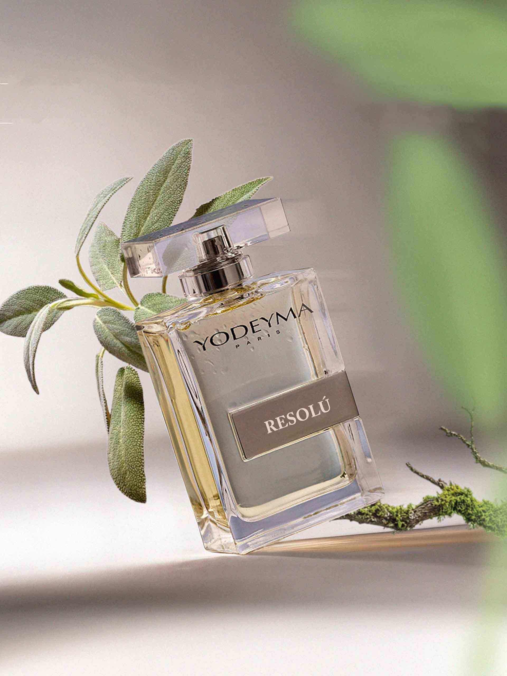 Ydeyma Résolu perfumy męskie korzenno-drzewne
