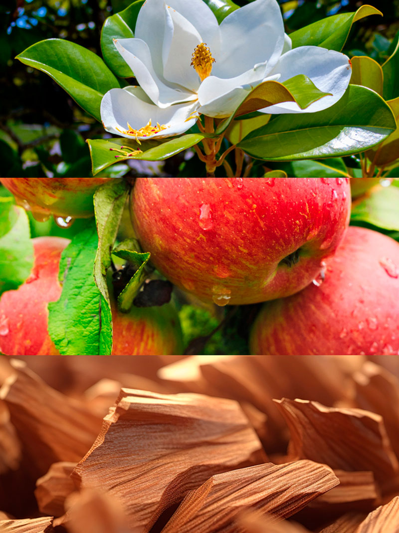 Ydeyma Fruit perfumy damskie jabłko magnolia
